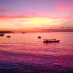 Disclosure of Overseas Income