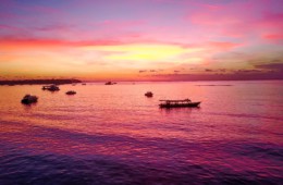 Disclosure of Overseas Income