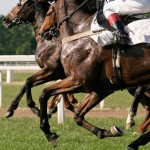 Capital Gains Tax CGT Exempt Assets UK